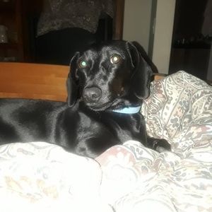 Meet your Posher, Adriana